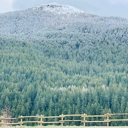 Daire Nuovo Tra Bormio E Livigno Isolaccia